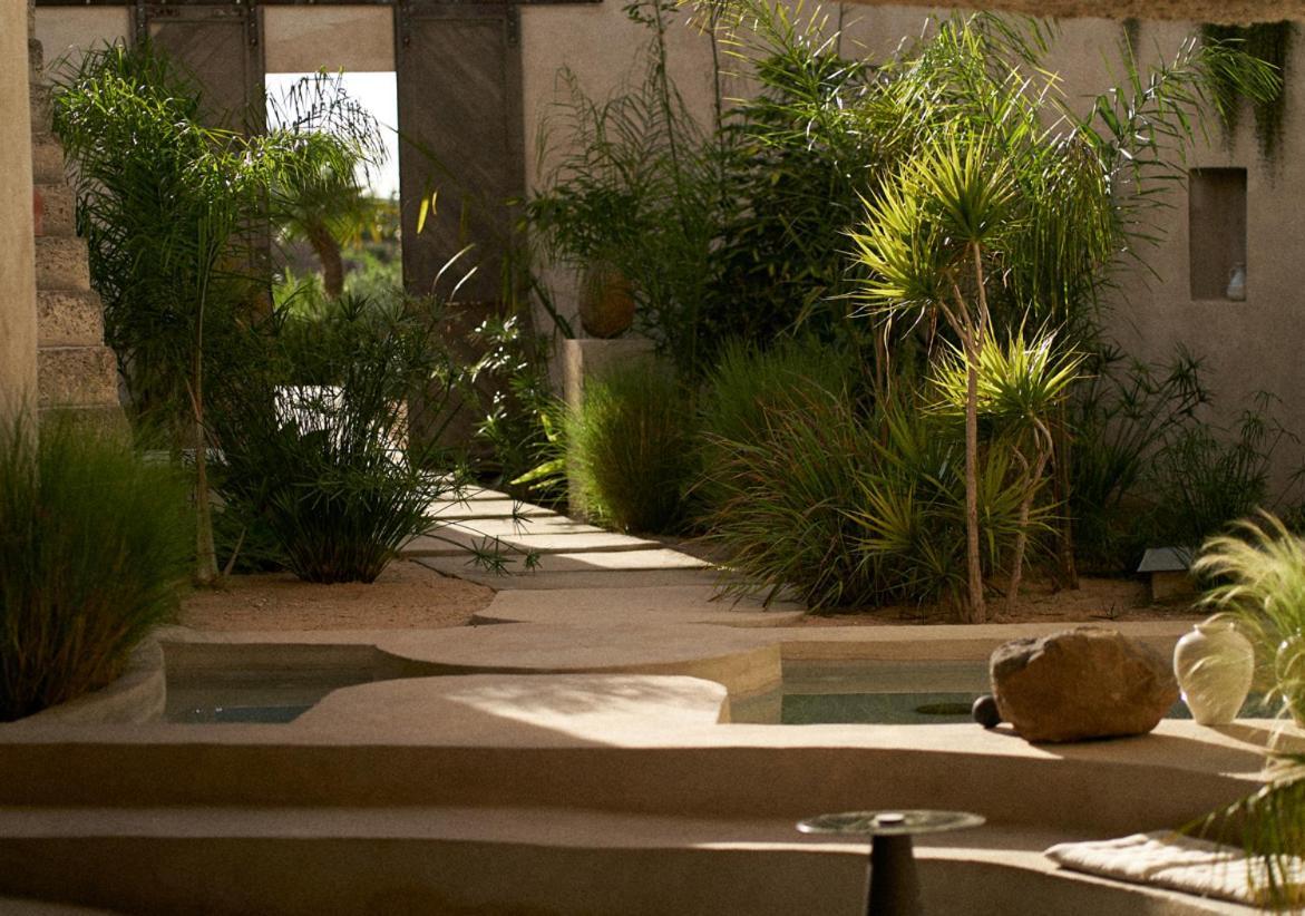 Ecohotel El Agua Arico el Nuevo Exterior photo